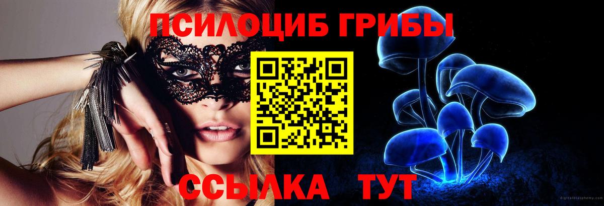 Псилоцибиновые грибы Psilocybine cubensis  Псилоцибиновые грибы Magic Shrooms  Вход с VPN  Павловский Посад 